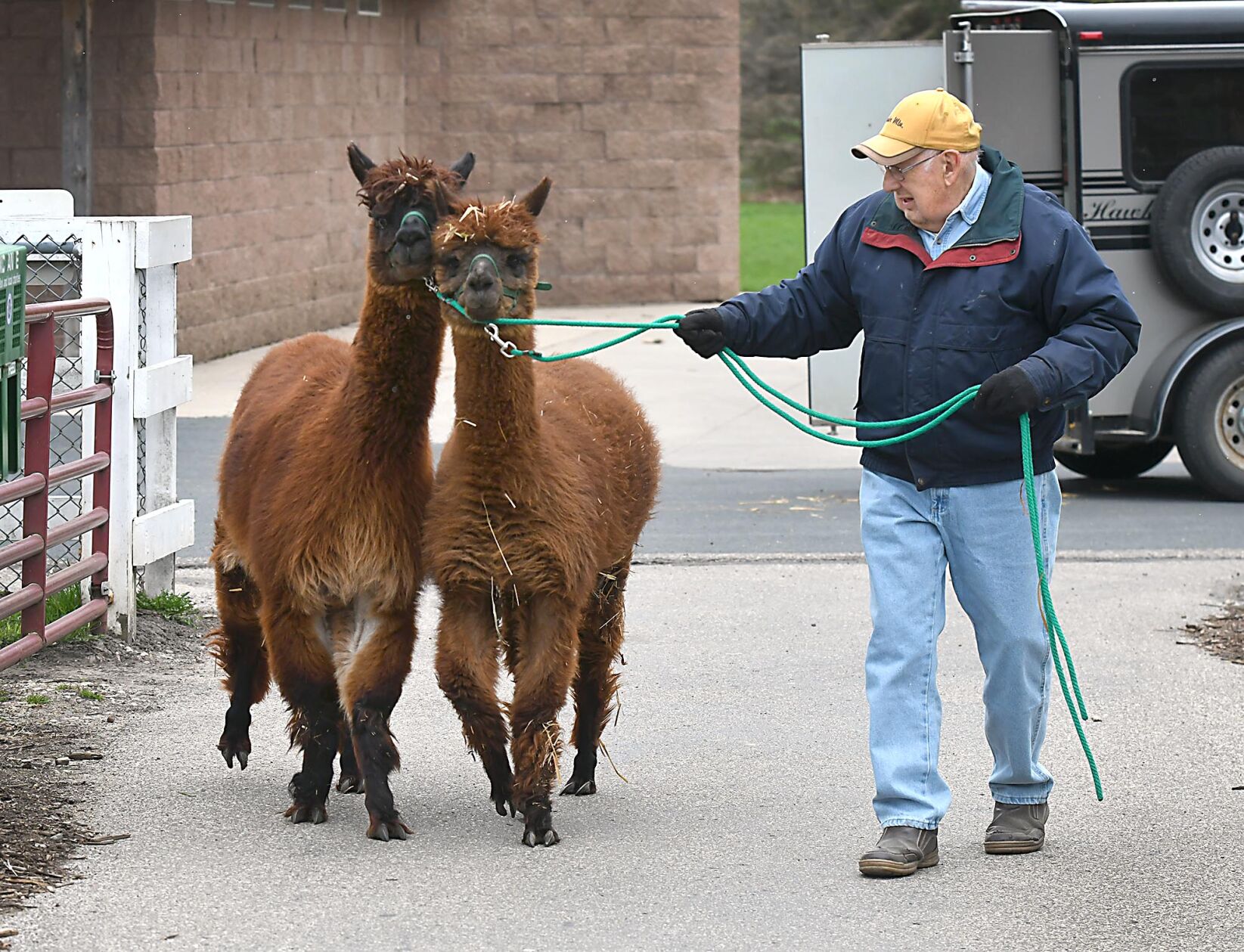 Sibley Park animals return 1